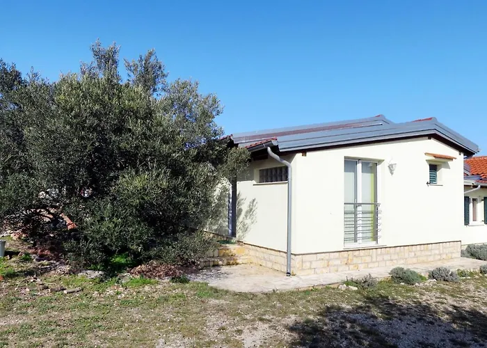 Camp Marko-2 By Interhome Tatil Evi Zečevo